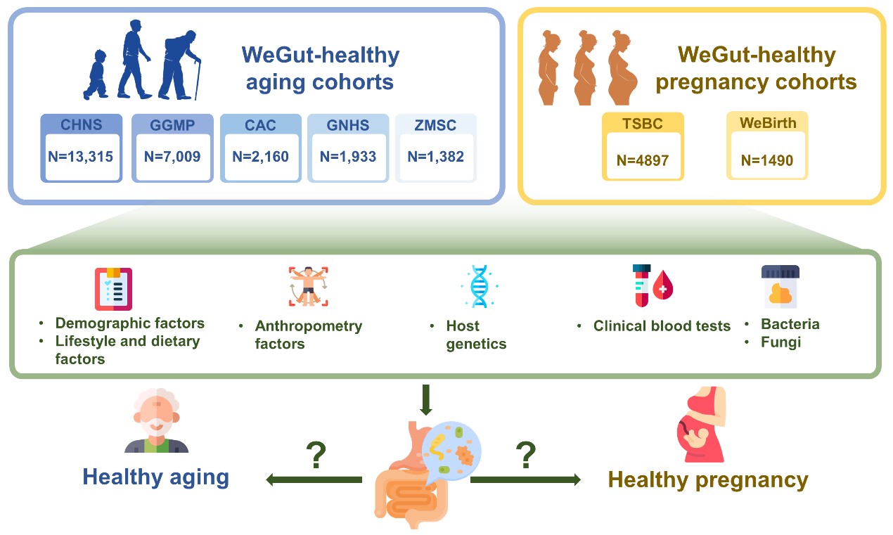 Abstract figure of WeGut Program